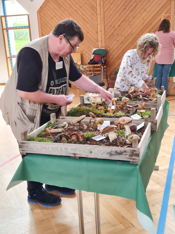 Pilzausstellung (1/3)