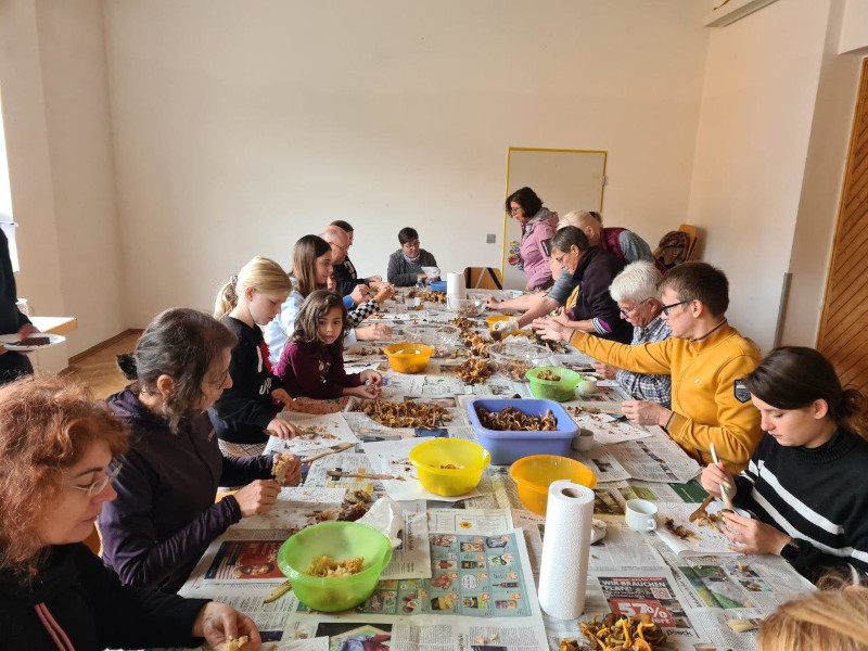 Gemeinsames Pilzeputzen