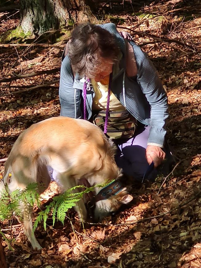 Candy hat etwas gefunden.