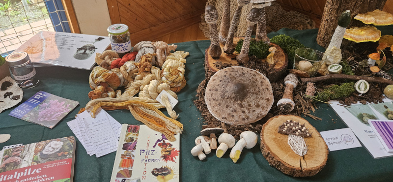 Pilzcoach-Ausstellung (3)