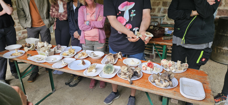 Erklärung der Merkmale