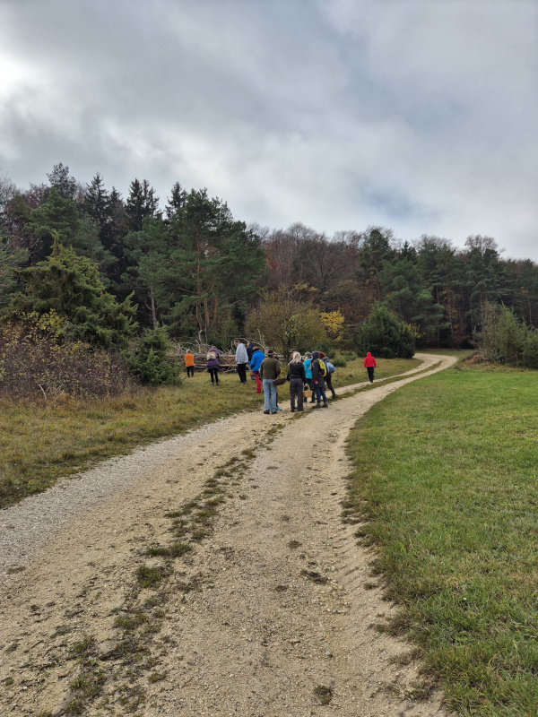 Wacholderwiese am Freitag