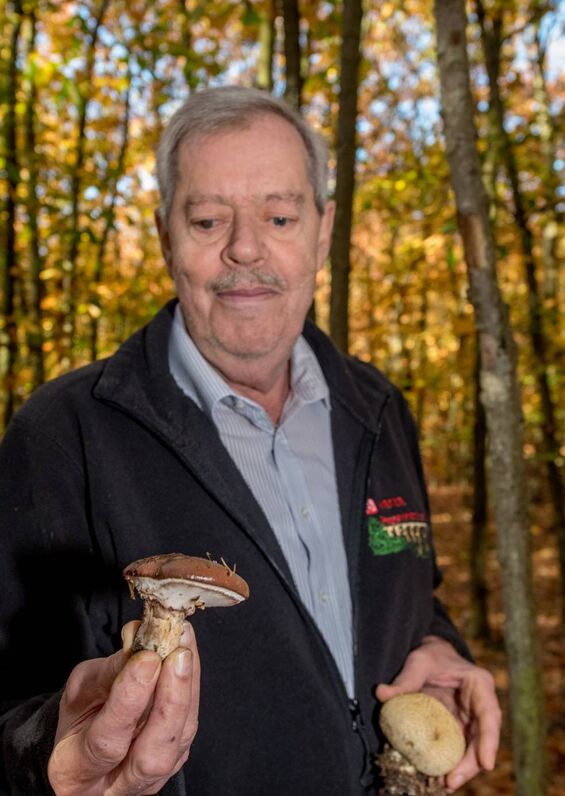 Joachim Rippel